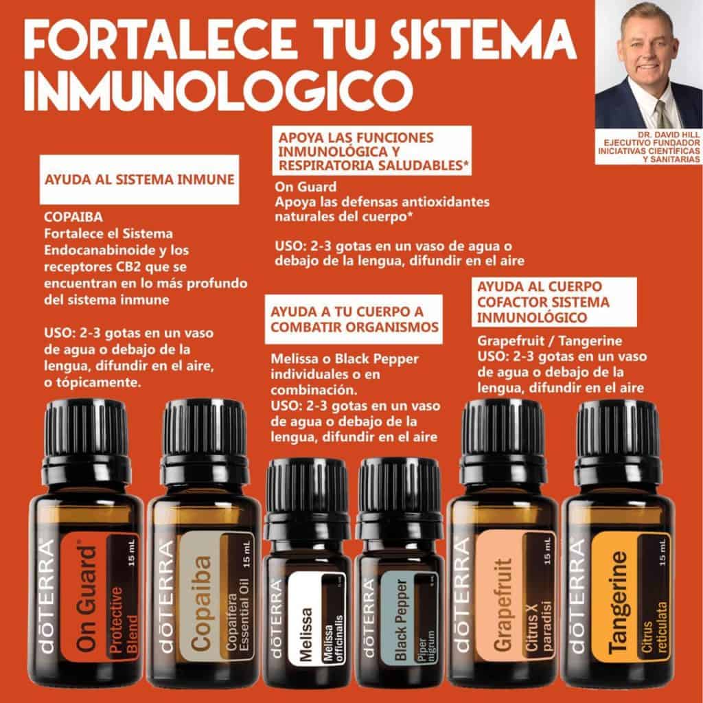 Fortalece tu sistema inmune